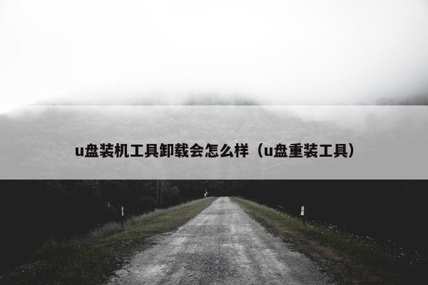 u盘装机工具卸载会怎么样（u盘重装工具）