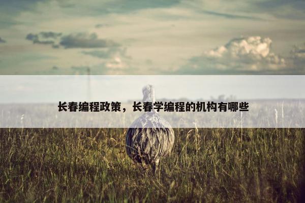 长春编程政策，长春学编程的机构有哪些