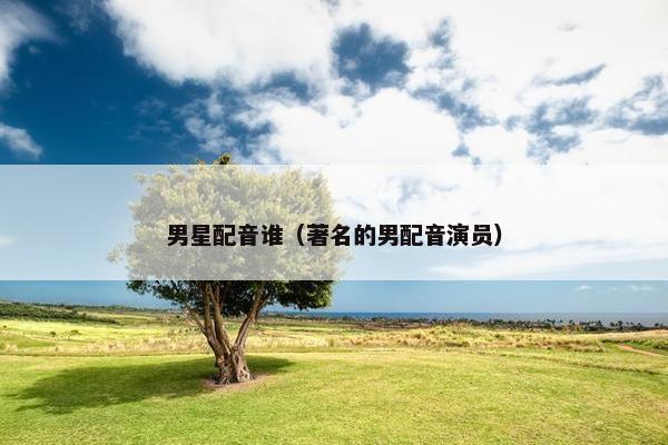 男星配音谁（著名的男配音演员）