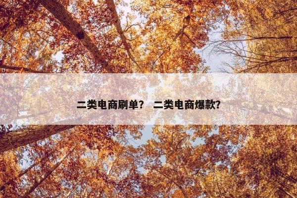 二类电商刷单？ 二类电商爆款？