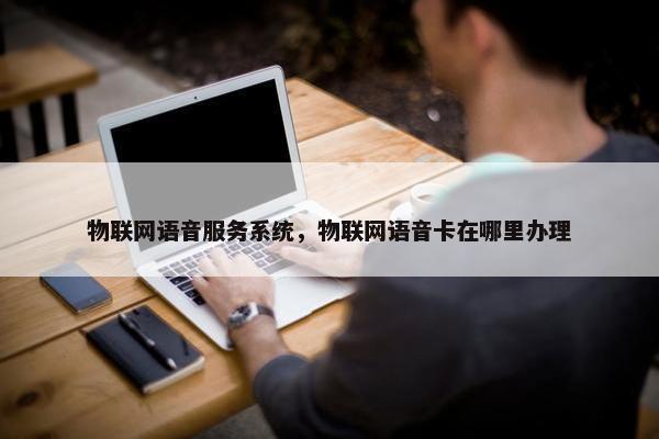 物联网语音服务系统，物联网语音卡在哪里办理