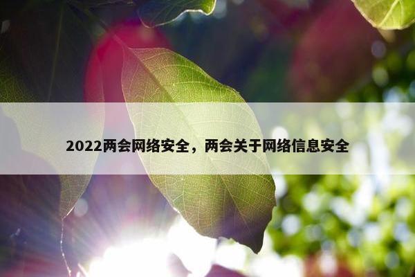 2022两会网络安全，两会关于网络信息安全