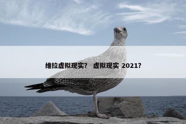 维拉虚拟现实？ 虚拟现实 2021？