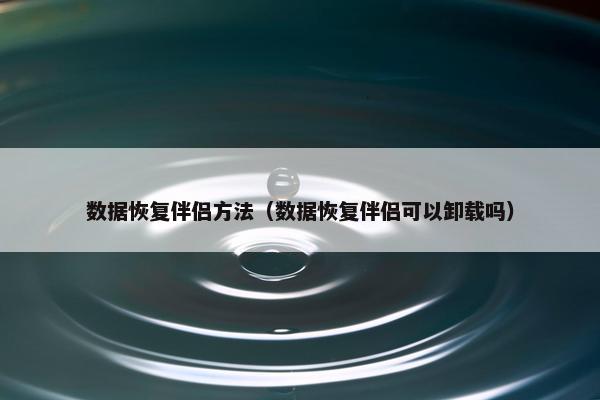 数据恢复伴侣方法（数据恢复伴侣可以卸载吗）