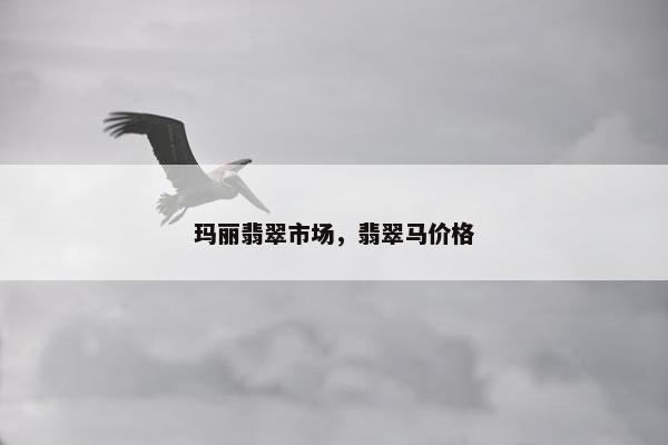 玛丽翡翠市场，翡翠马价格
