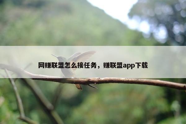 网赚联盟怎么接任务，赚联盟app下载