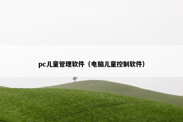 pc儿童管理软件（电脑儿童控制软件）