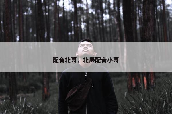 配音北哥，北辰配音小哥