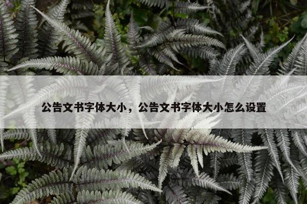 公告文书字体大小，公告文书字体大小怎么设置