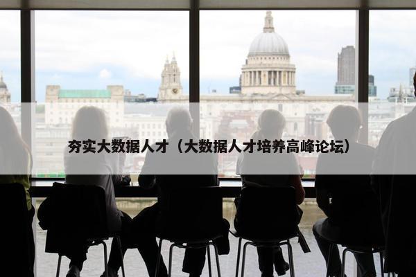 夯实大数据人才（大数据人才培养高峰论坛）