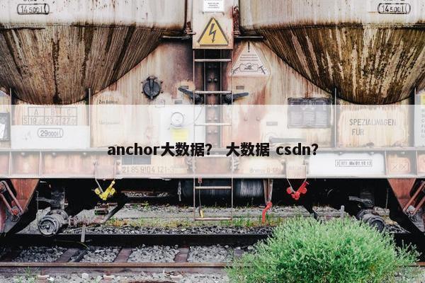 anchor大数据？ 大数据 csdn？