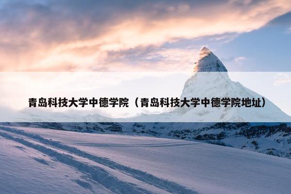 青岛科技大学中德学院（青岛科技大学中德学院地址）