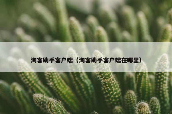 淘客助手客户端（淘客助手客户端在哪里）