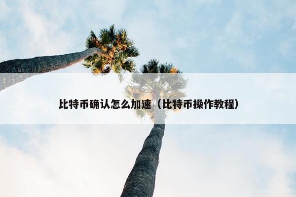 比特币确认怎么加速（比特币操作教程）