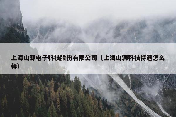 上海山源电子科技股份有限公司（上海山源科技待遇怎么样）