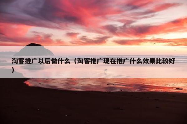 淘客推广以后做什么（淘客推广现在推广什么效果比较好）