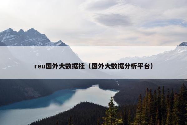 reu国外大数据挂（国外大数据分析平台）