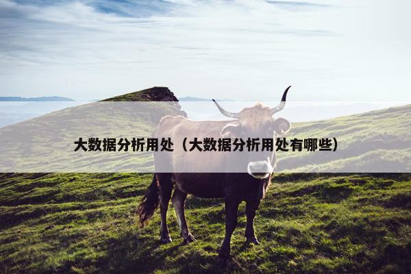 大数据分析用处（大数据分析用处有哪些）