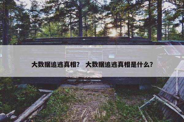 大数据追逃真相？ 大数据追逃真相是什么？