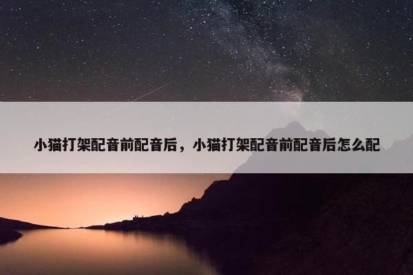 小猫打架配音前配音后，小猫打架配音前配音后怎么配