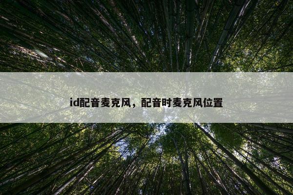 id配音麦克风，配音时麦克风位置