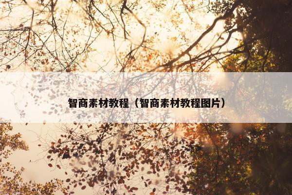 智商素材教程（智商素材教程图片）