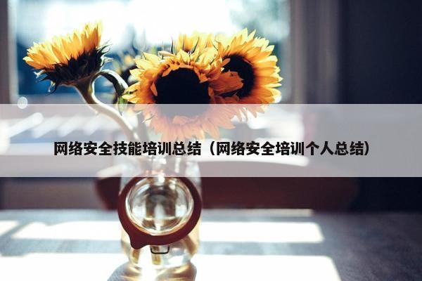 网络安全技能培训总结（网络安全培训个人总结）