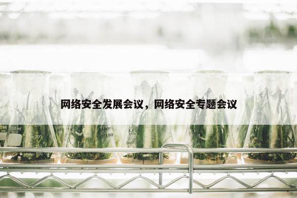 网络安全发展会议，网络安全专题会议
