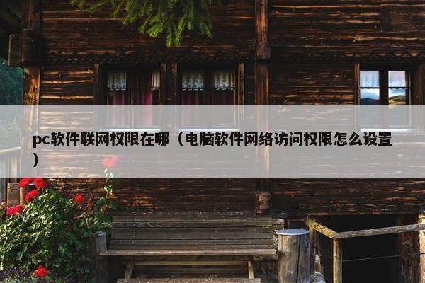 pc软件联网权限在哪（电脑软件网络访问权限怎么设置）