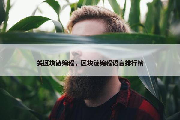 关区块链编程，区块链编程语言排行榜
