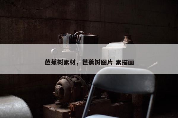 芭蕉树素材，芭蕉树图片 素描画