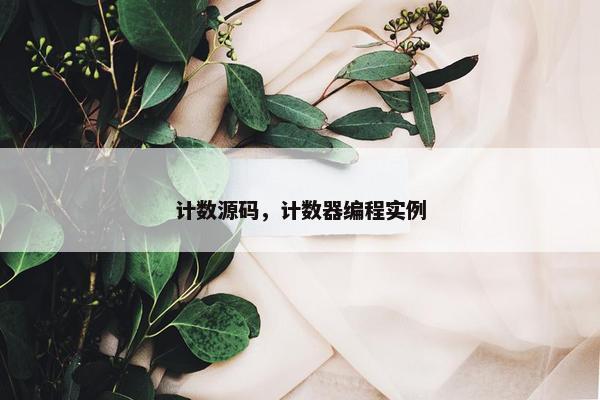 计数源码，计数器编程实例