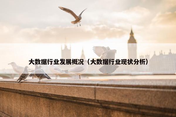 大数据行业发展概况（大数据行业现状分析）