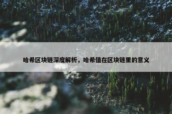 哈希区块链深度解析，哈希值在区块链里的意义