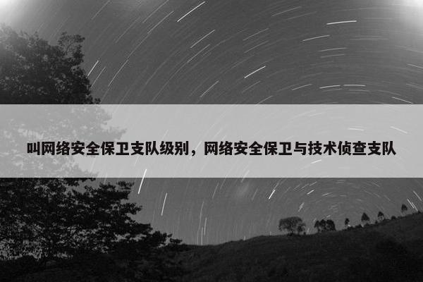 叫网络安全保卫支队级别，网络安全保卫与技术侦查支队