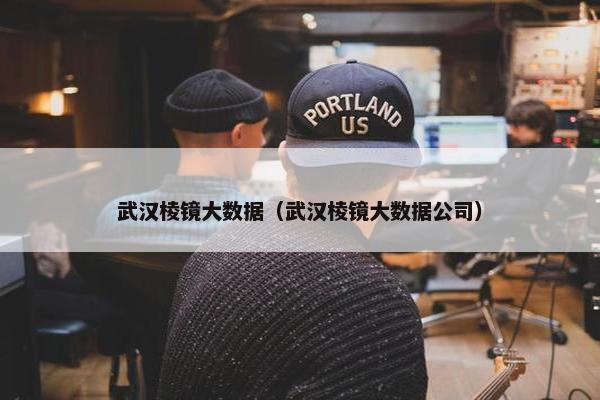 武汉棱镜大数据（武汉棱镜大数据公司）