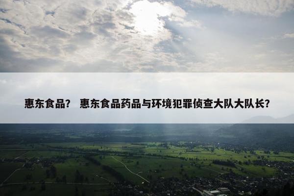 惠东食品？ 惠东食品药品与环境犯罪侦查大队大队长？