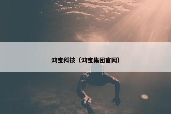 鸿宝科技（鸿宝集团官网）