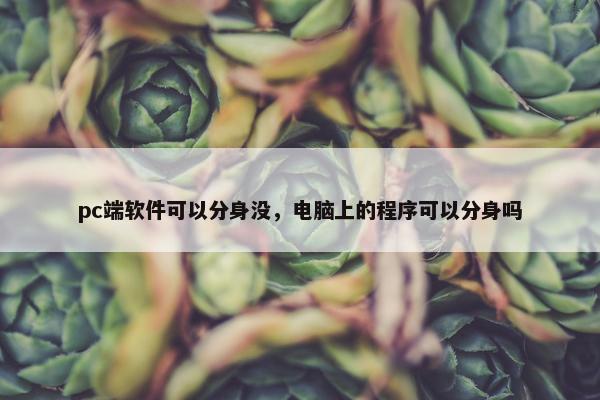 pc端软件可以分身没，电脑上的程序可以分身吗