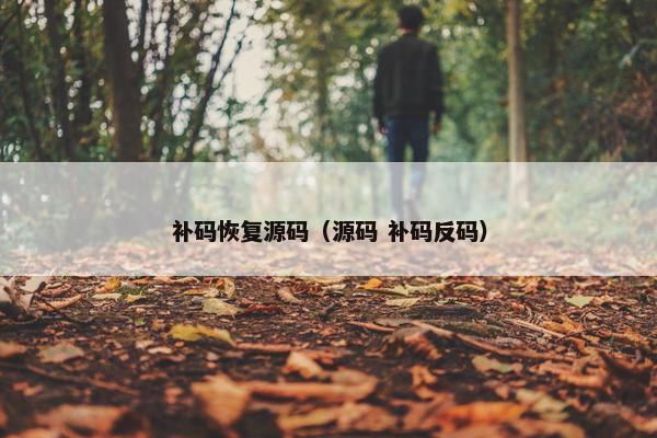 补码恢复源码（源码 补码反码）