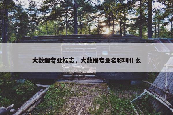 大数据专业标志，大数据专业名称叫什么