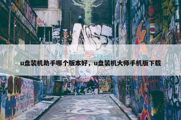 u盘装机助手哪个版本好，u盘装机大师手机版下载