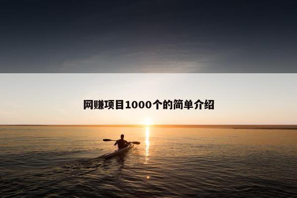 网赚项目1000个的简单介绍