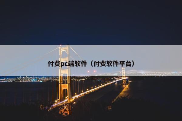付费pc端软件（付费软件平台）
