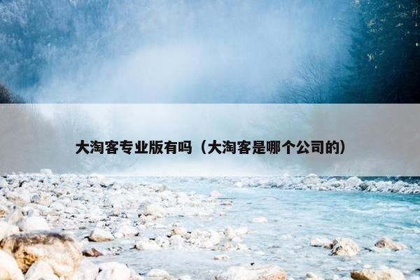 大淘客专业版有吗（大淘客是哪个公司的）