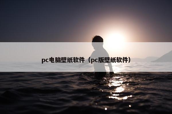 pc电脑壁纸软件（pc版壁纸软件）