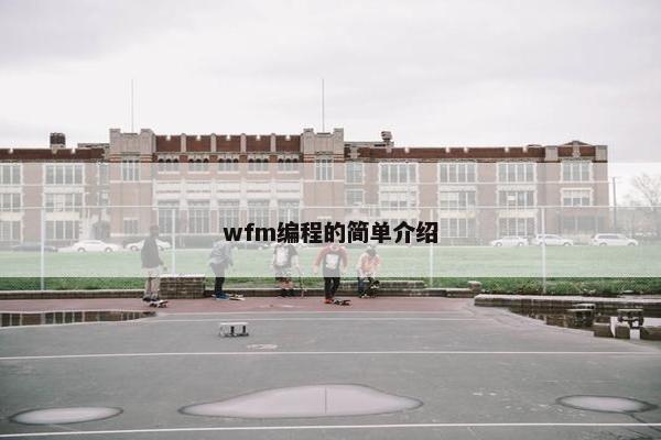 wfm编程的简单介绍