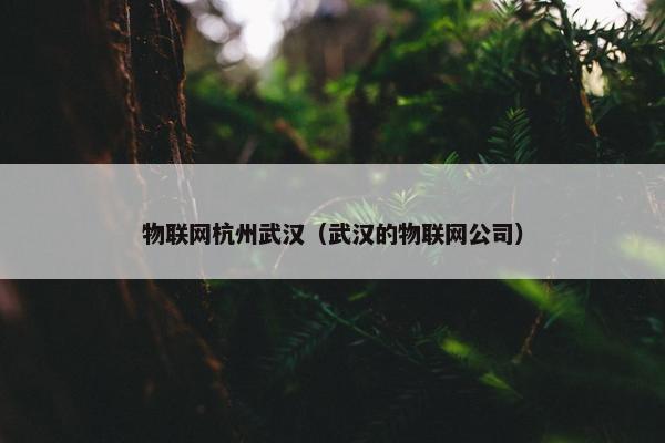 物联网杭州武汉（武汉的物联网公司）