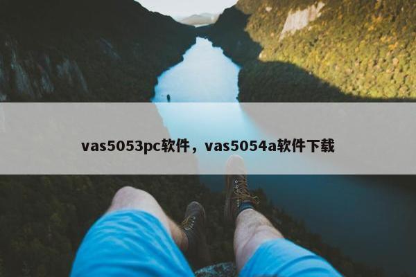 vas5053pc软件，vas5054a软件下载