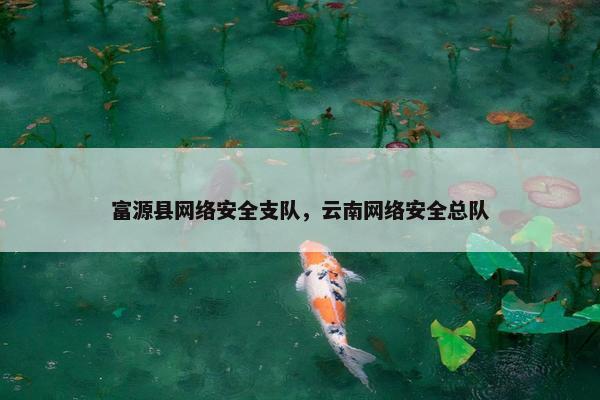 富源县网络安全支队，云南网络安全总队